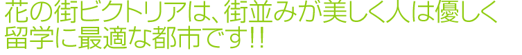 花の街ビクトリアは街並みが美しく人は優しく留学に最適な都市です。